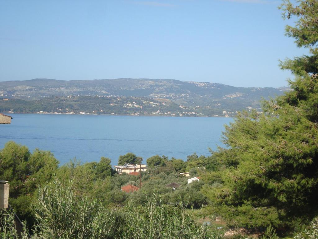 Kappatos Studios & Apartments Lassi (Kefalonia) Exterior foto