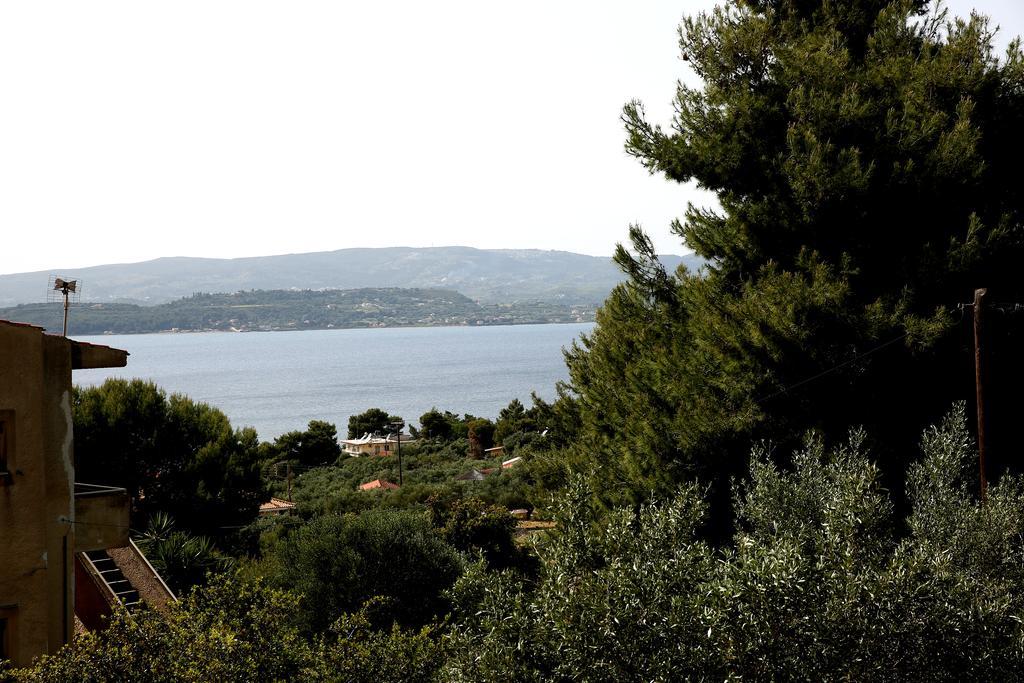 Kappatos Studios & Apartments Lassi (Kefalonia) Exterior foto